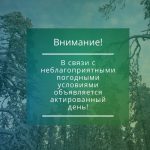 актировка